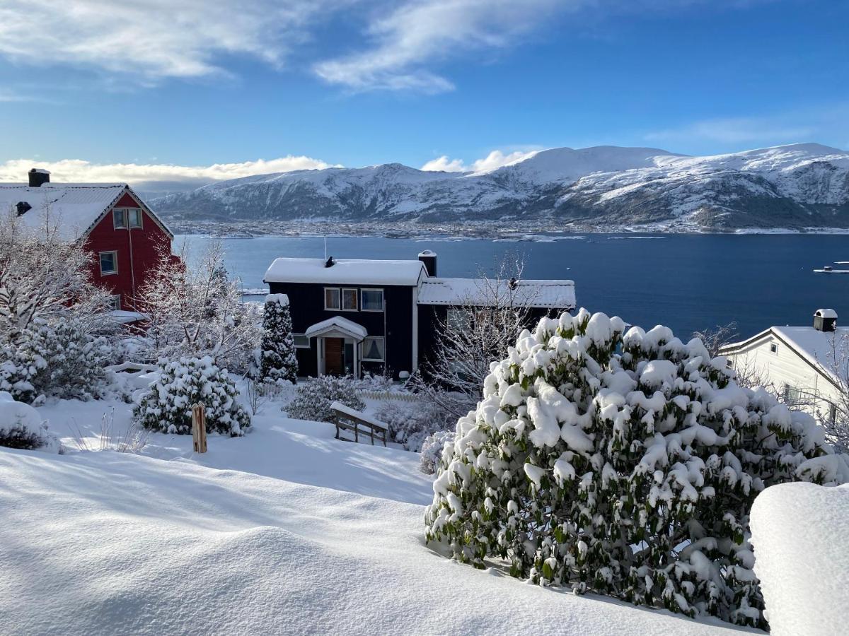 Great Place With View To The Mountains And Fjord Alesund Bagian luar foto